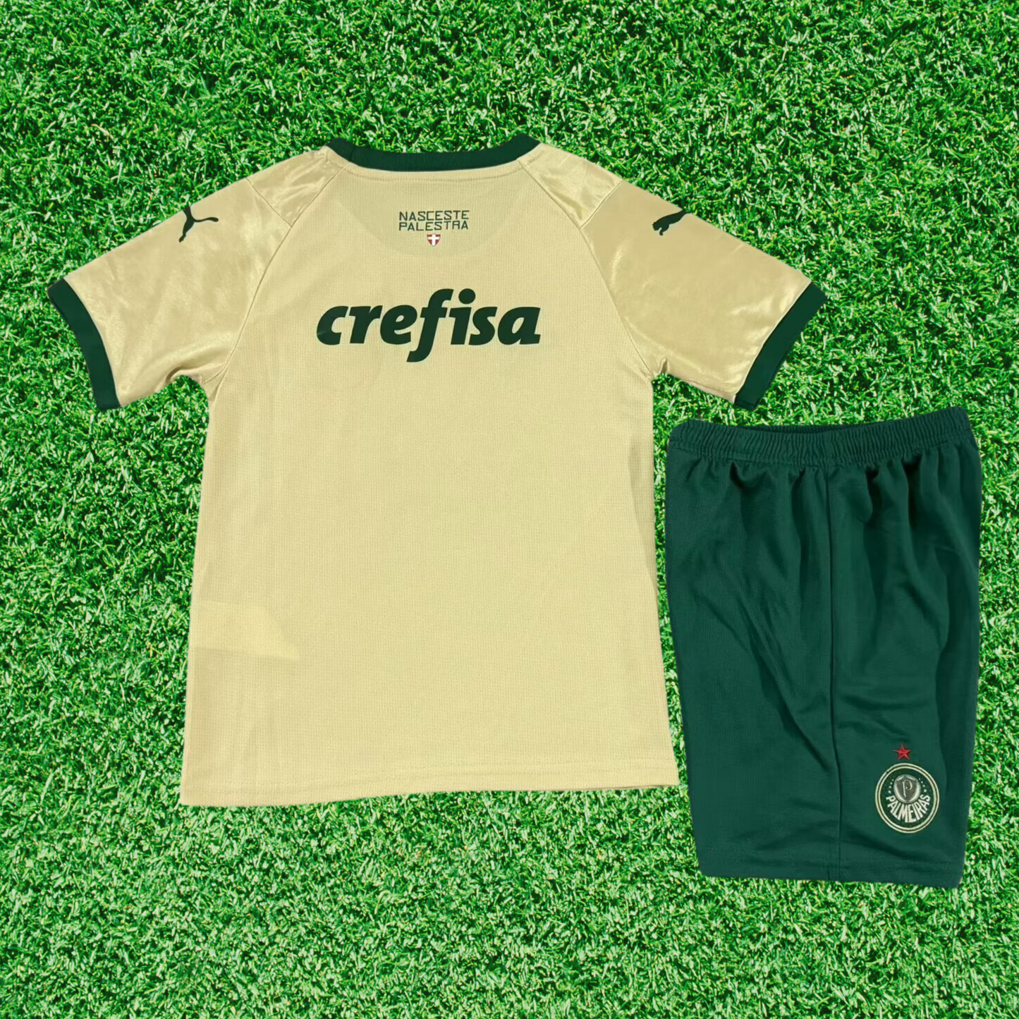 Kit Palmeiras III 24/25 Enfants