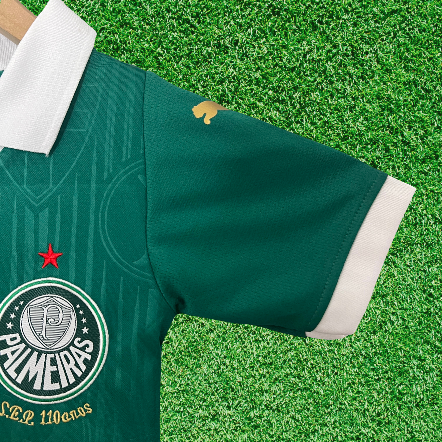 Kit Palmeiras I 24/25 Enfants