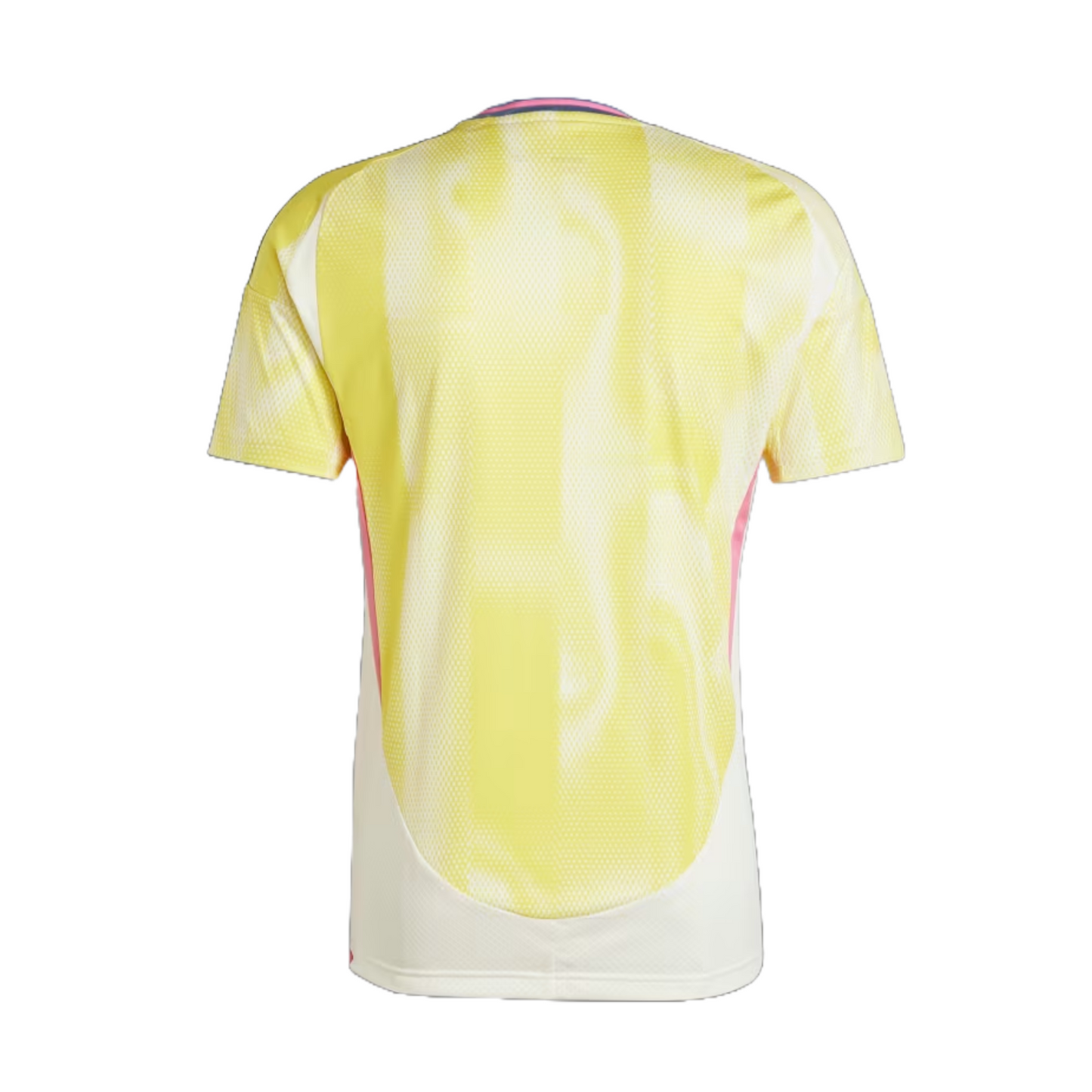 Juventus 2024/25 Away