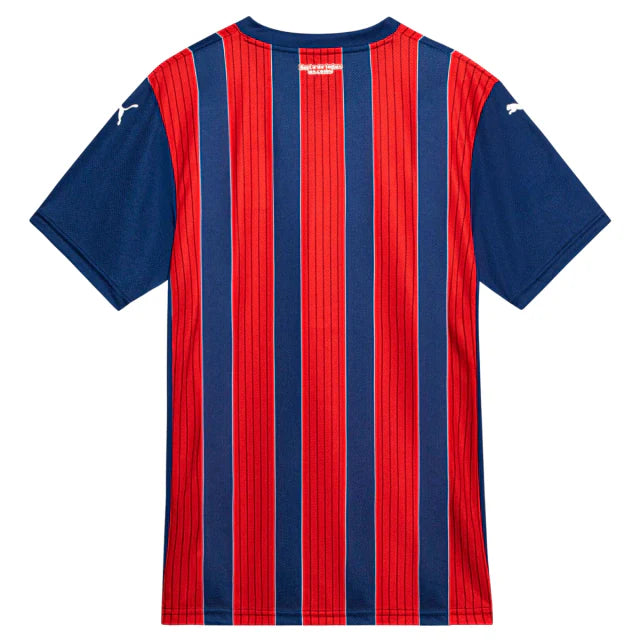 Camisa Bahia II 25/26 - Torcedor - Masculino - Vermelha e Azul