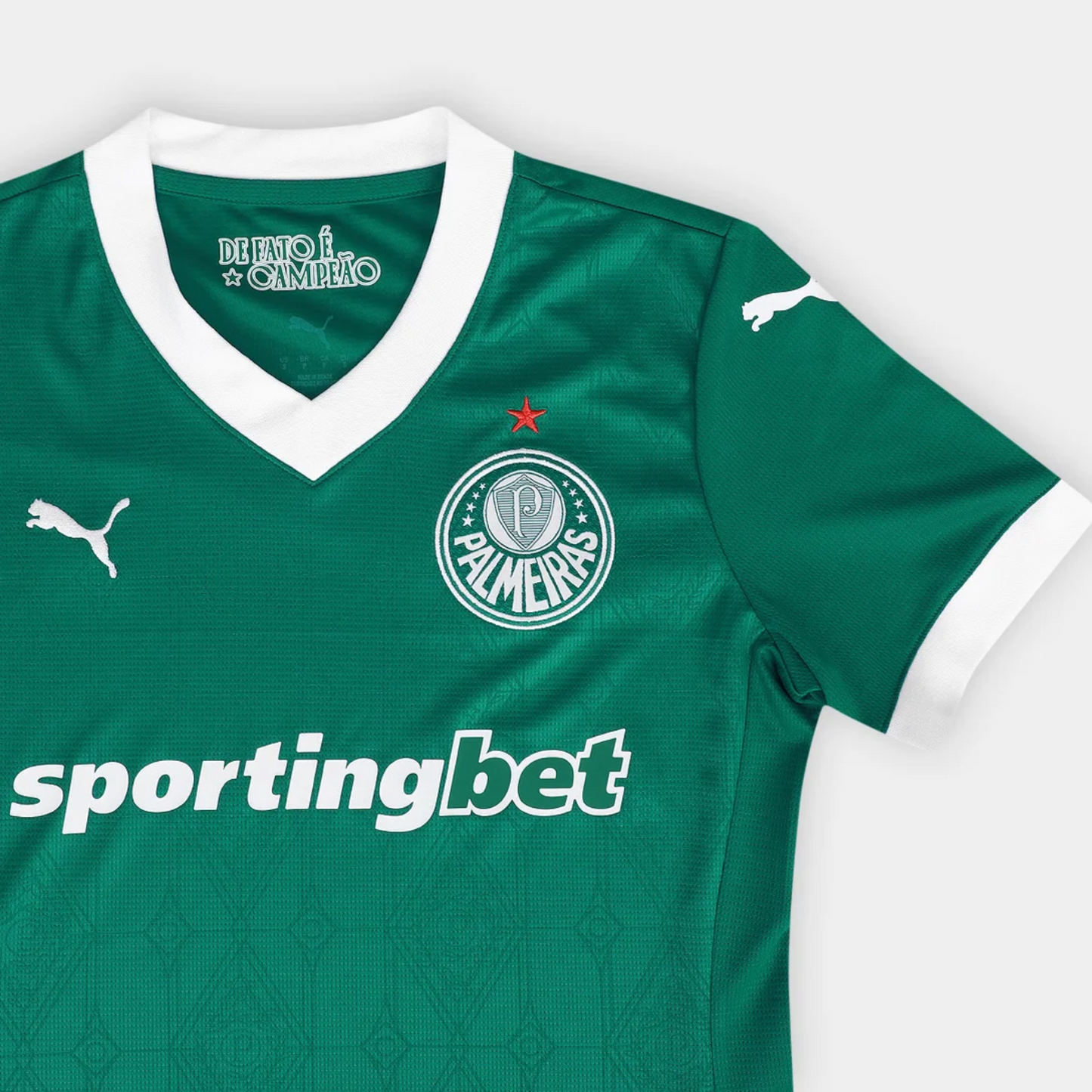 Camisa Feminina Palmeiras I 25/26 - Sem Patrocínio - Torcedor - Masculino - Verde