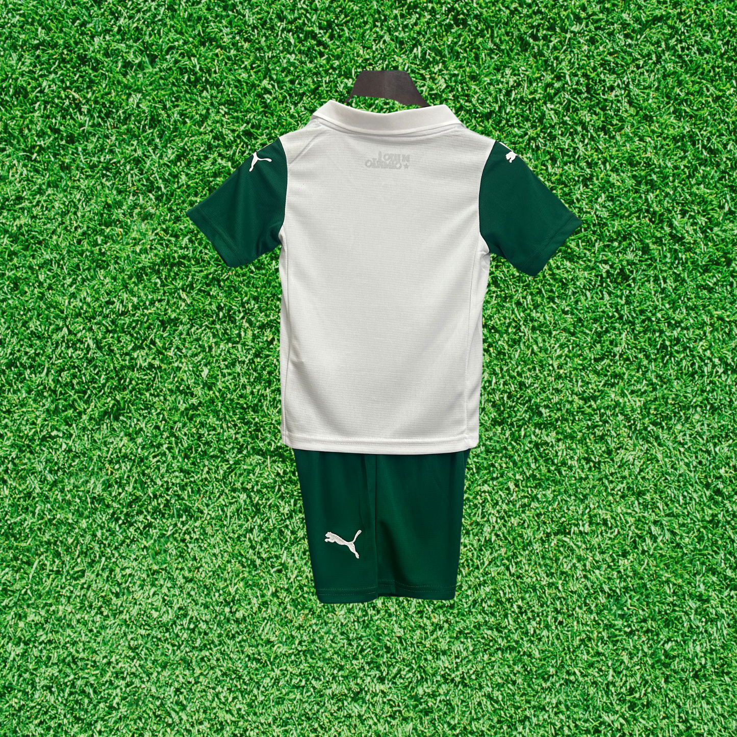Kit Palmeiras II 25/26 Enfants
