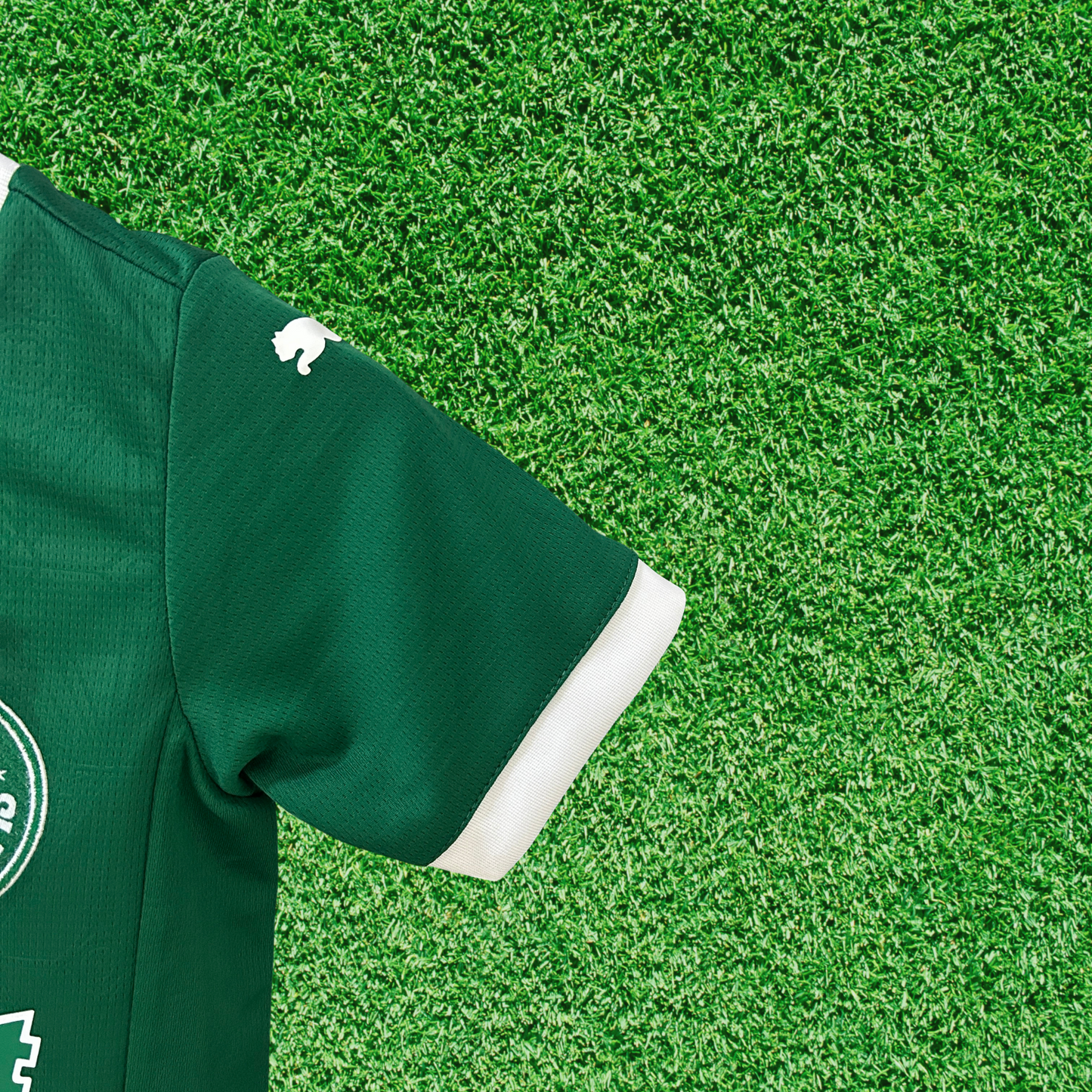 Kit Palmeiras I 25/26 Enfants