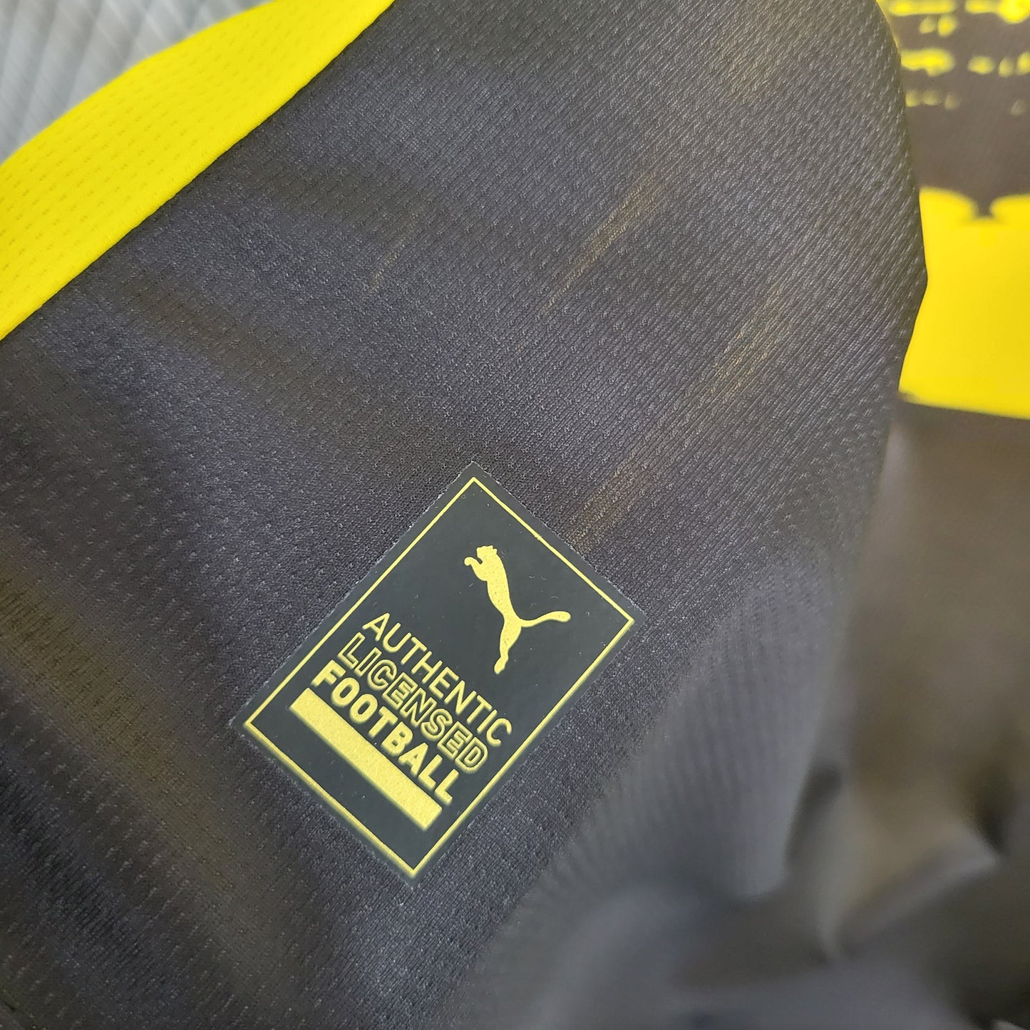 Borussia Dortmund 2023/24 Home