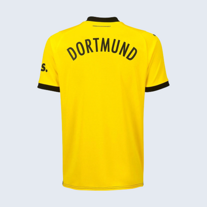 Borussia Dortmund 2023/24 Home