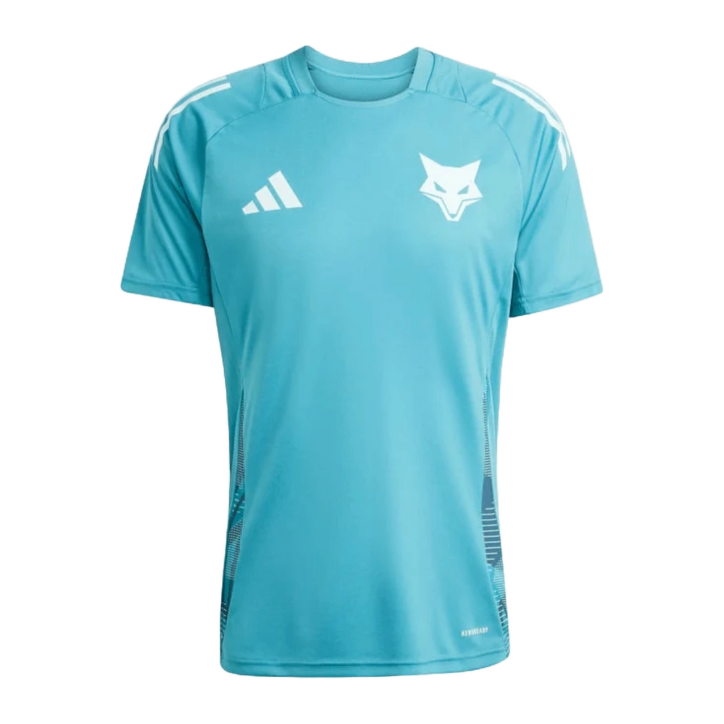 Cruzeiro 2025/26 Training