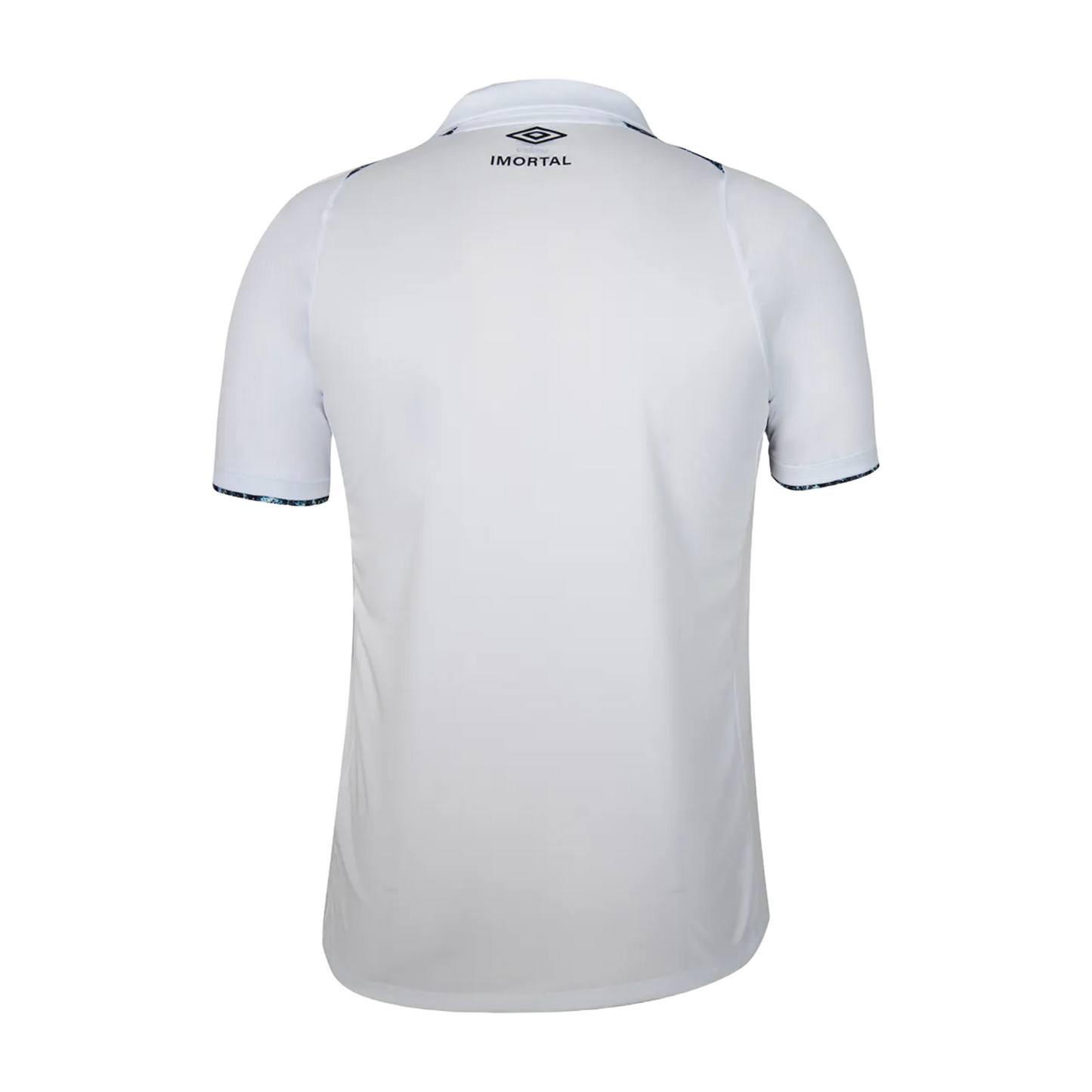 Grêmio 2024/25 Away