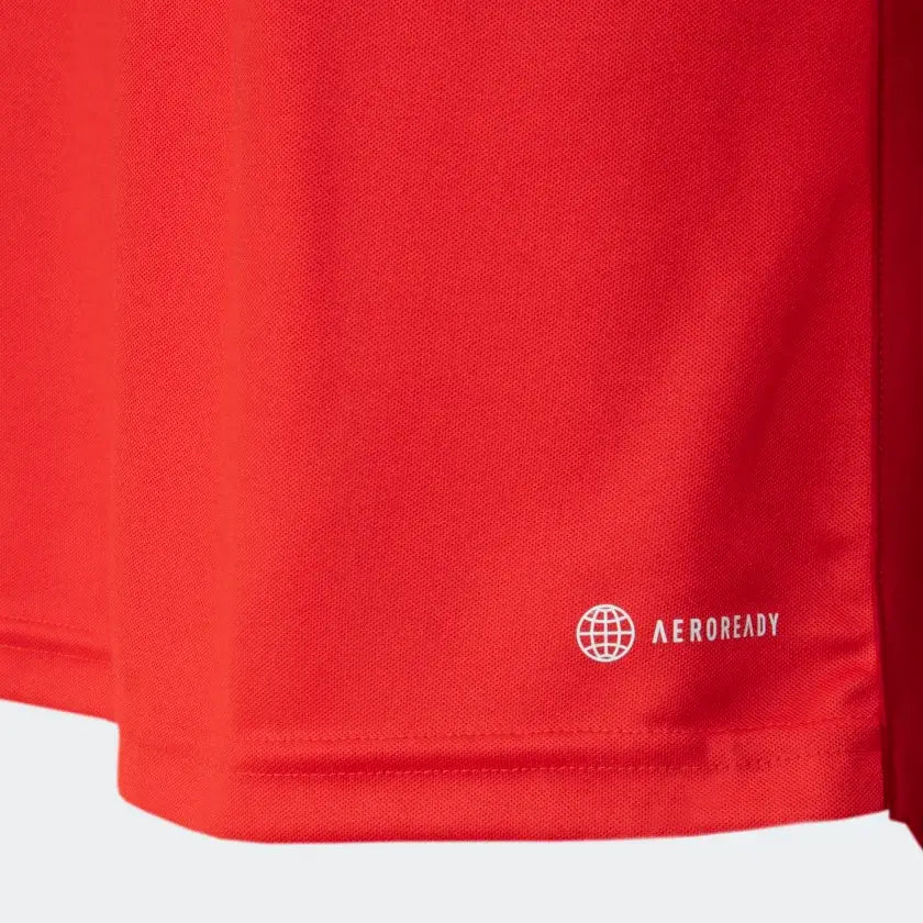 SC Internacional 2023/24 Home