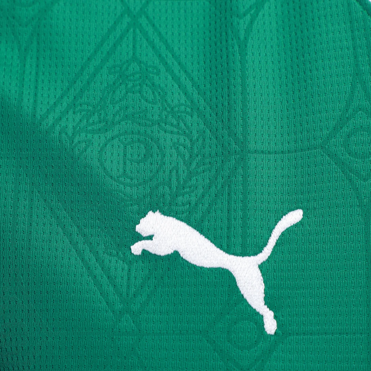 Camisa Feminina Palmeiras I 25/26 - Sem Patrocínio - Torcedor - Masculino - Verde