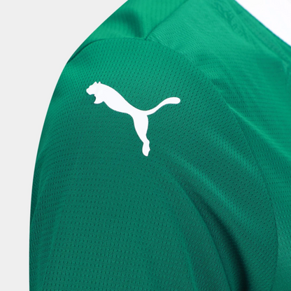 Camisa Feminina Palmeiras I 25/26 - Sem Patrocínio - Torcedor - Masculino - Verde