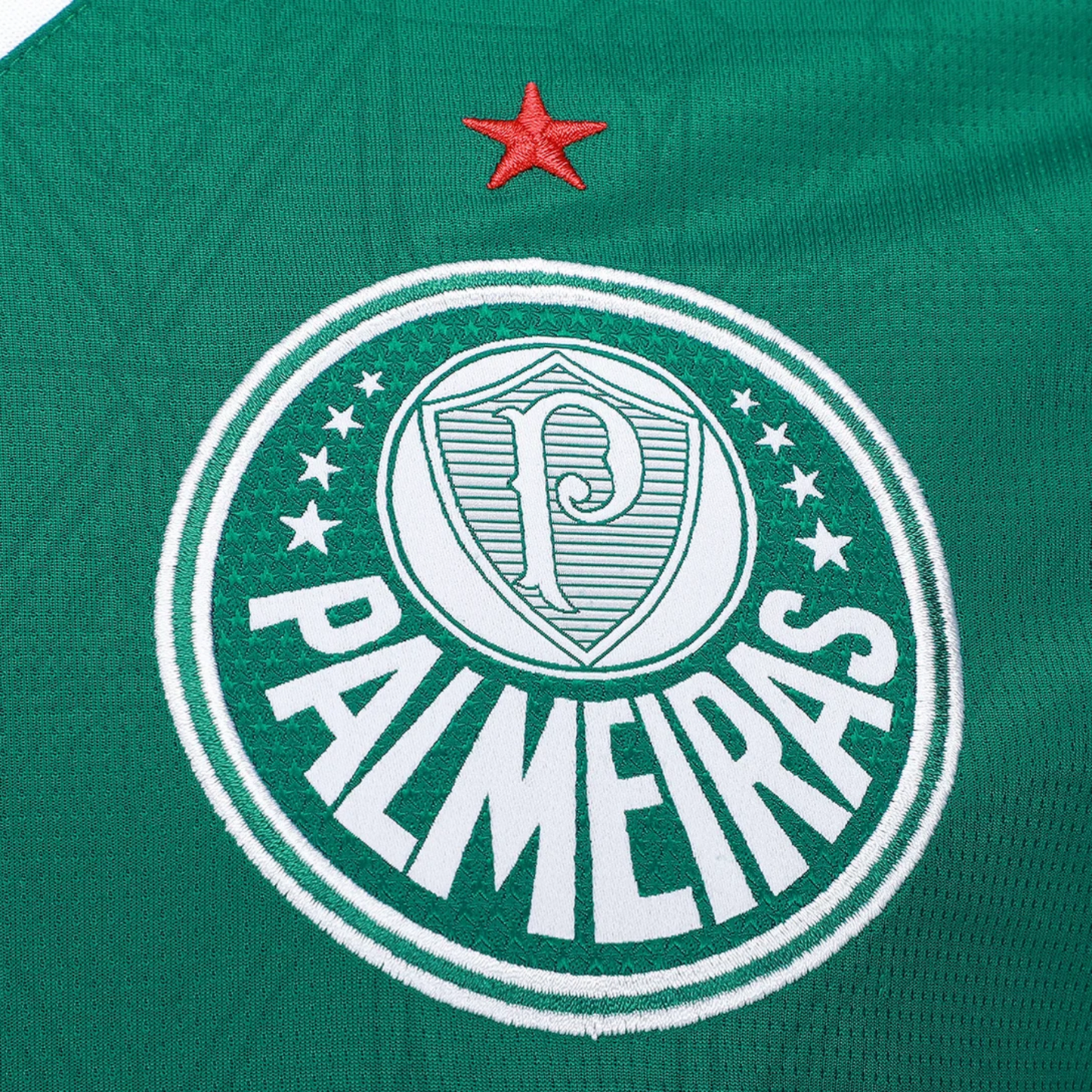 Camisa Palmeiras I 25/26 - Torcedor - Masculino - Verde