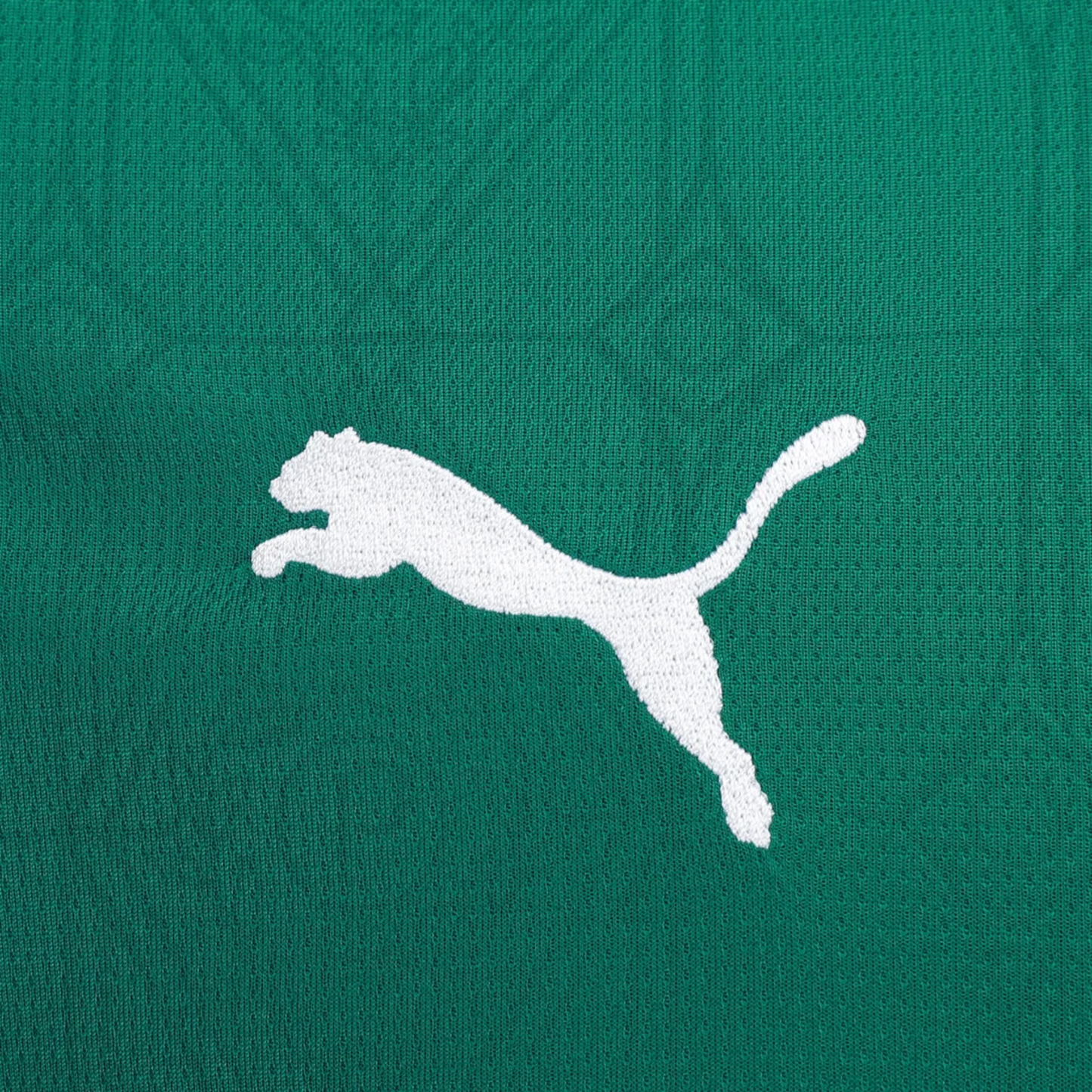 Camisa Palmeiras I 25/26 - Torcedor - Masculino - Verde