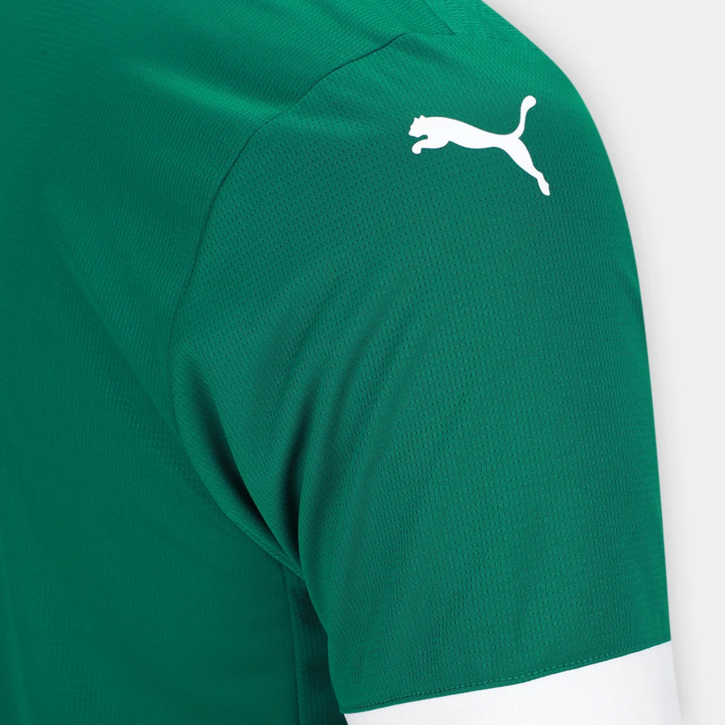 Camisa Palmeiras I 25/26 - Torcedor - Masculino - Verde