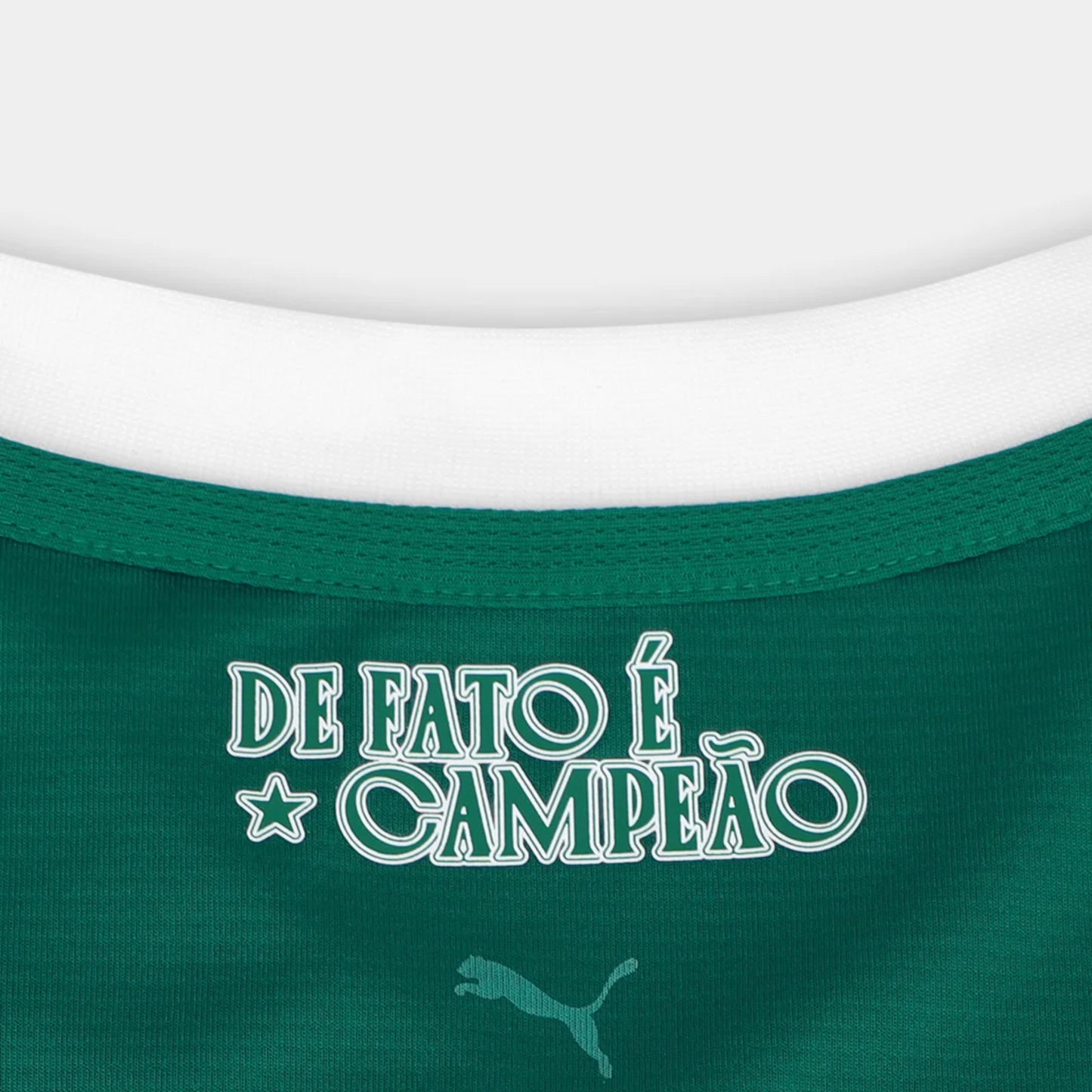 Camisa Palmeiras I 25/26 - Torcedor - Masculino - Verde