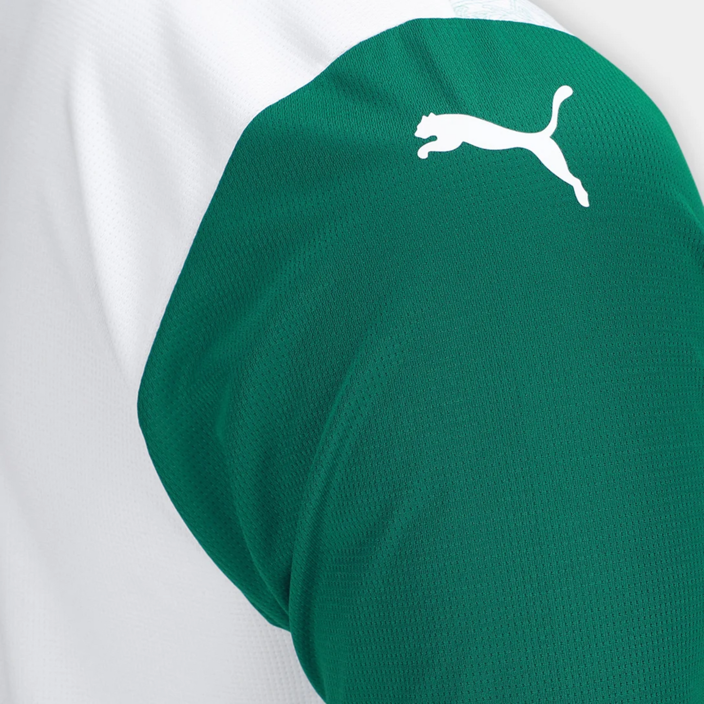 Camisa Palmeiras II 25/26 - Torcedor - Masculino - Branca