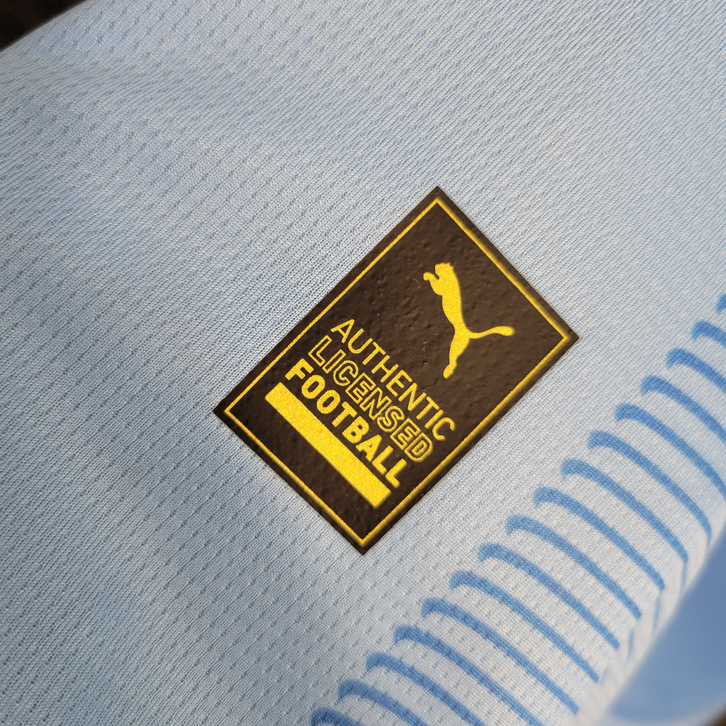 Manchester City 2023/24 Home